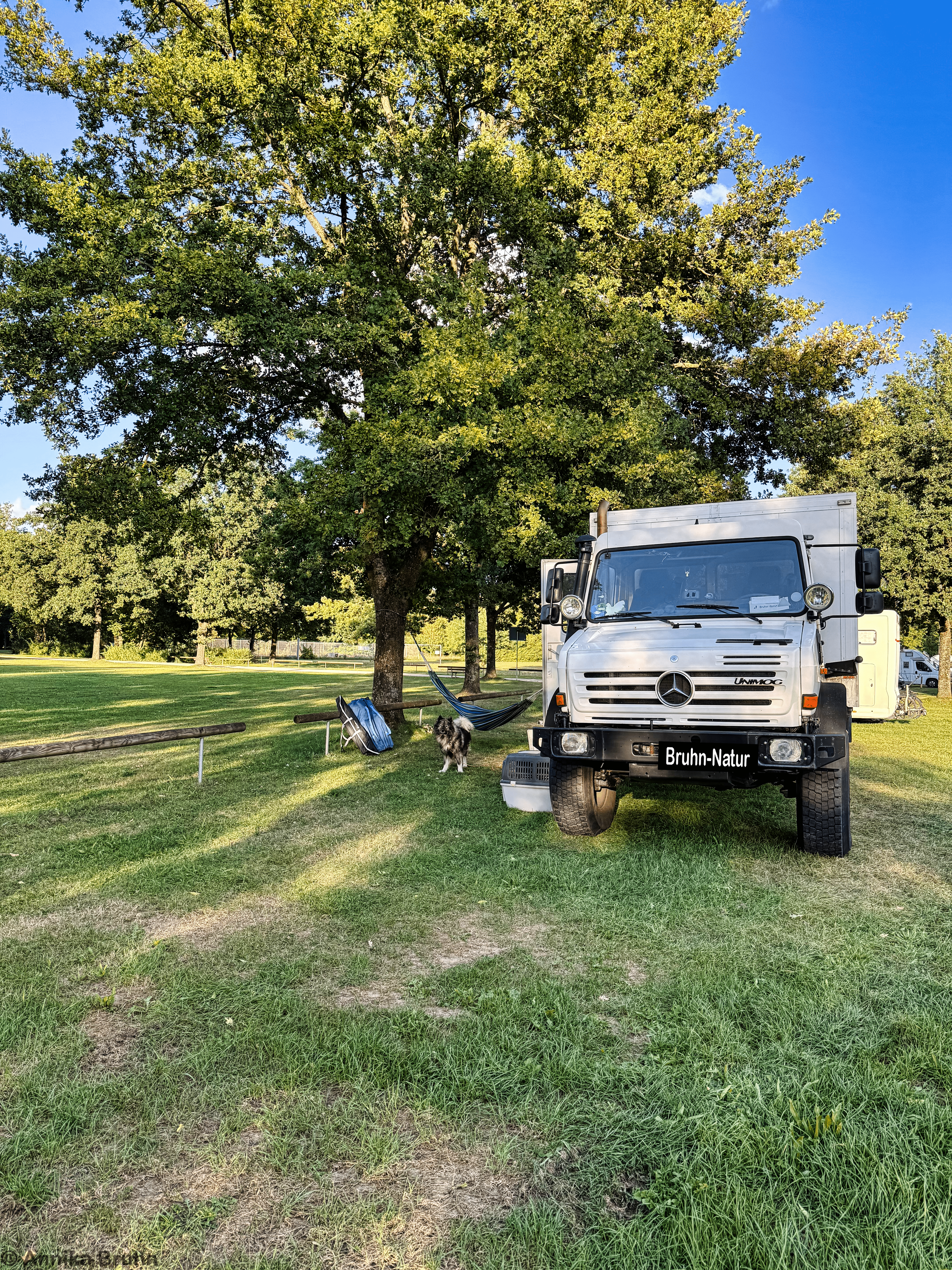 Platz auf der Sommerwiese
